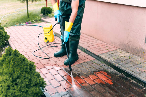 Best Solar Panel Cleaning  in Honsville, GA